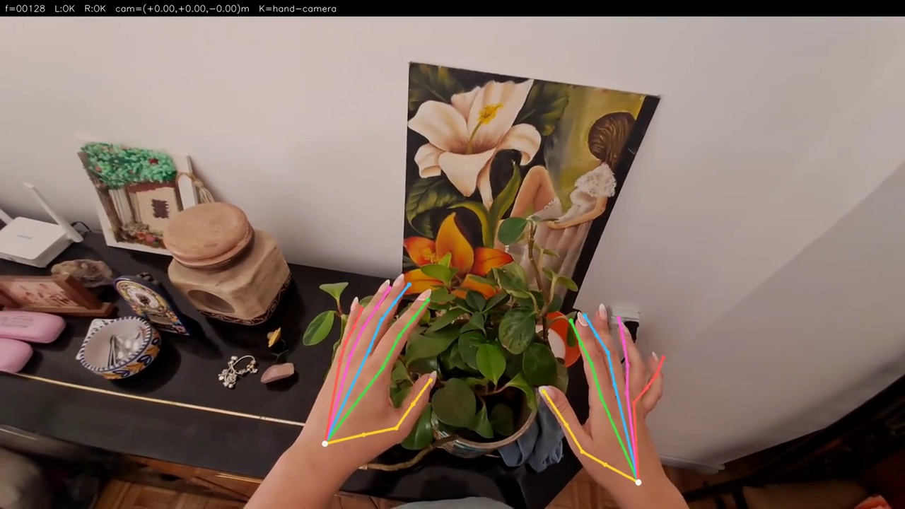 H9 Trim egocentric frame with left and right hand skeleton overlays near a houseplant