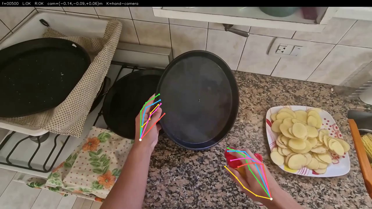 hvideo (1) Trim kitchen frame with hand skeleton overlays while holding a pan and a red object
