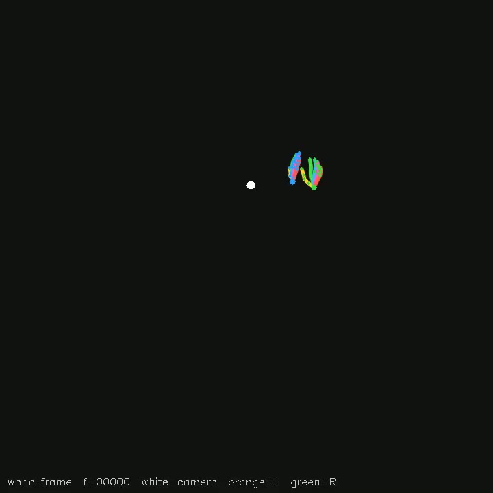 Hand pose & trajectories saved review: Making_tea_super_narrated_hands3d, frame_001