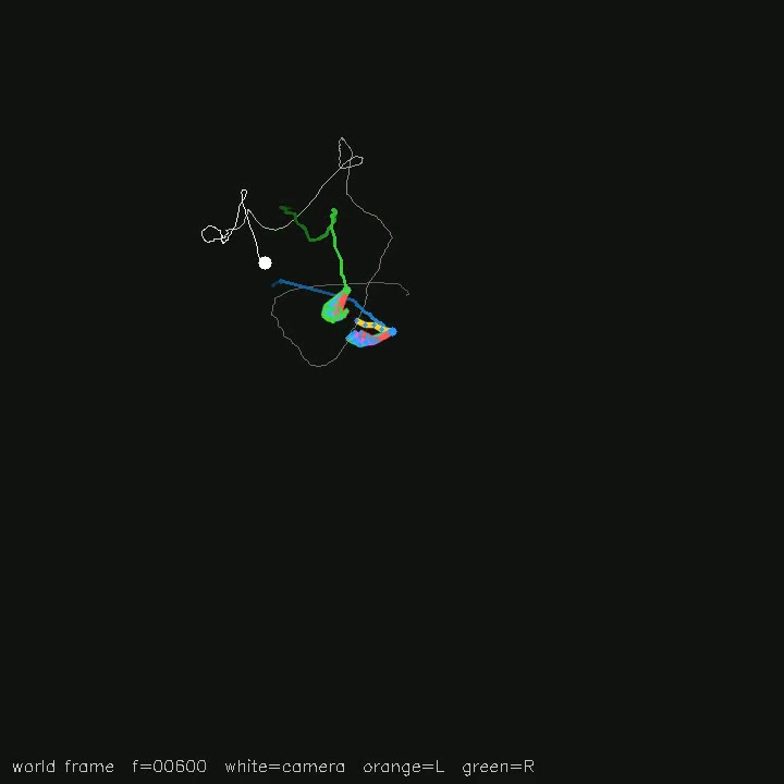 Hand pose & trajectories saved review: Making_tea_super_narrated_hands3d, frame_003