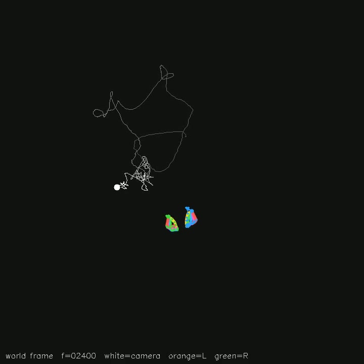 Hand pose & trajectories saved review: Making_tea_super_narrated_hands3d, frame_006