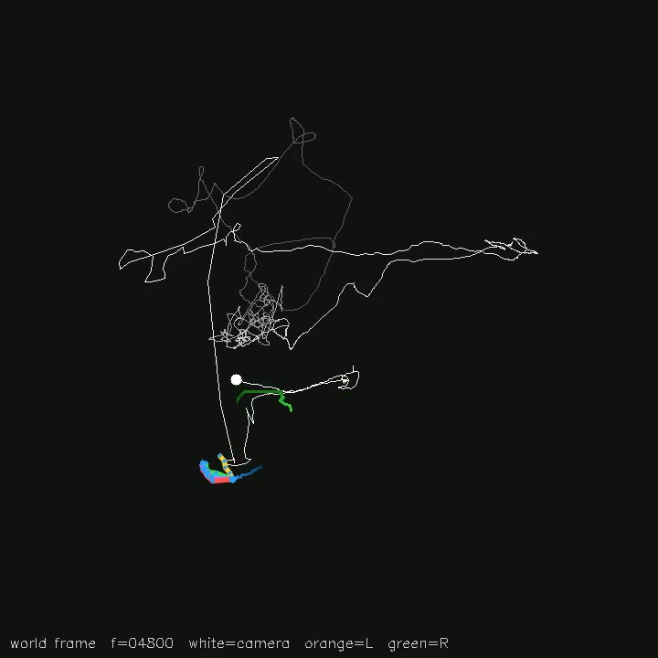 Hand pose & trajectories saved review: Making_tea_super_narrated_hands3d, frame_008