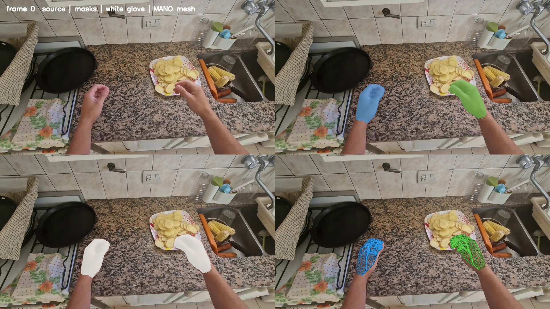H9 & hvideo glove overlays saved review: hvideo_1_trim, frame_000000
